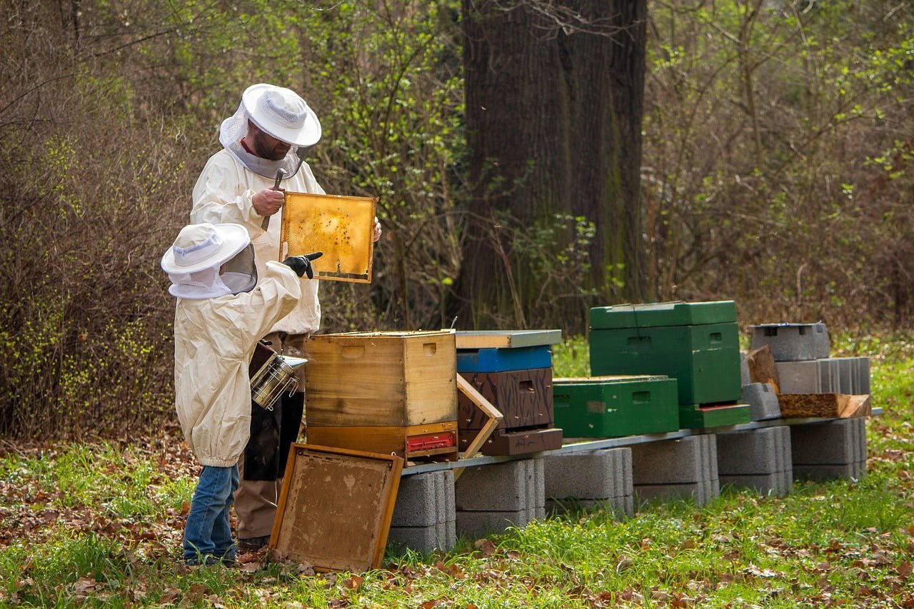image for “Beekeeping”