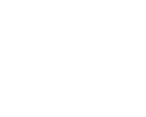 Kingdom Culture Education